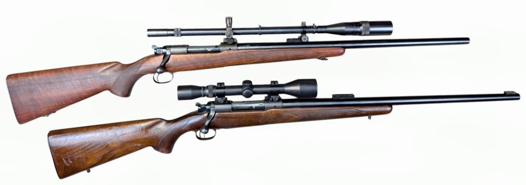 photoroom-20250114_17441923889347505987402074.