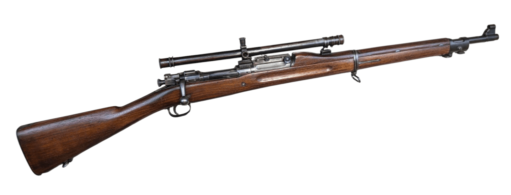 photoroom-20250116_0957132726475733326997576