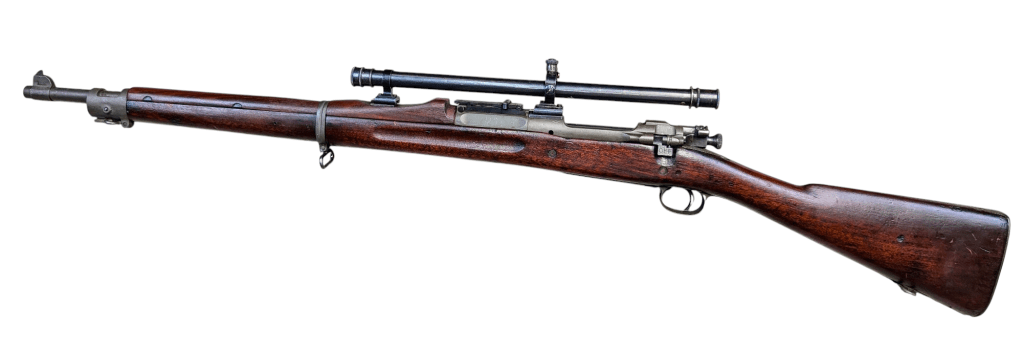 photoroom-20250116_2055322890558988232027732