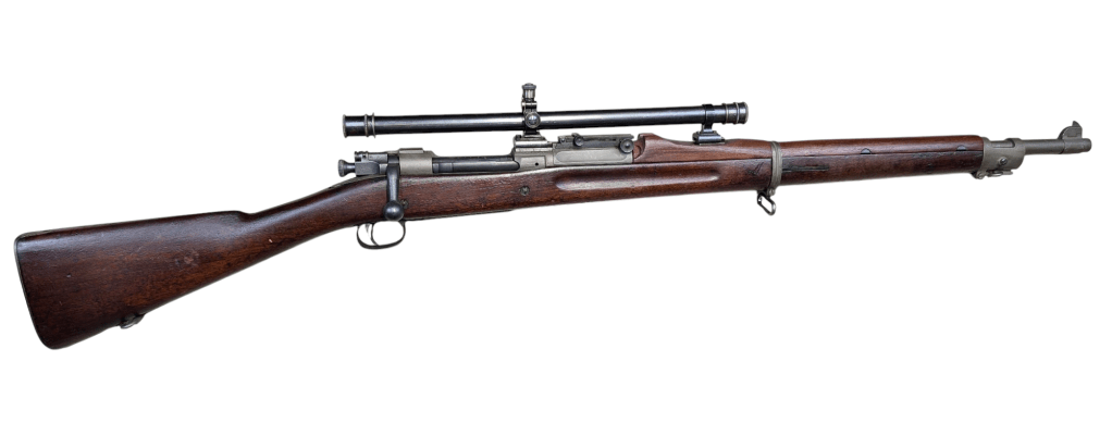 photoroom-20250116_2056298015319215063084892