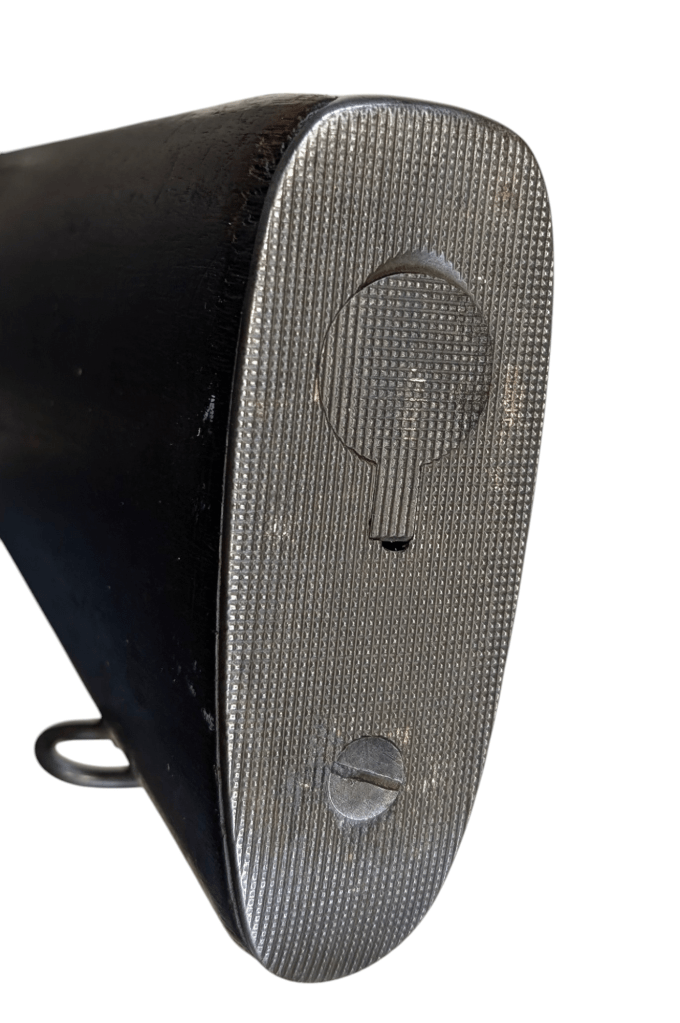 photoroom-20250122_2144448792526438577992931