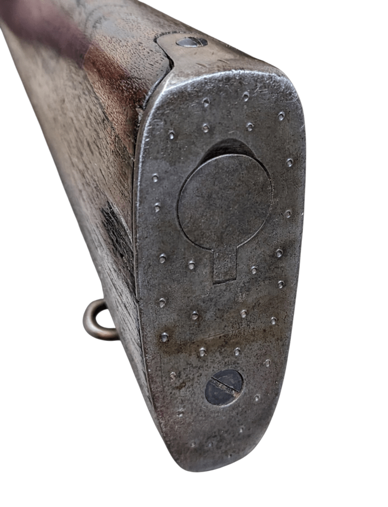 photoroom-20250122_2148335963378668494079758