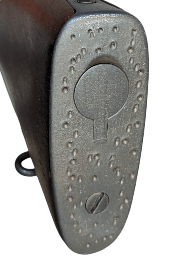 photoroom-20250122_2158172272504493742216596