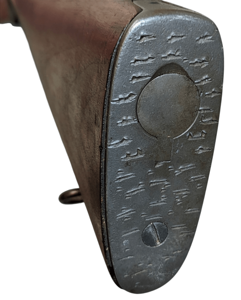 photoroom-20250122_2159159170726993926503864