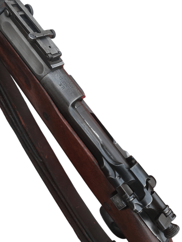 photoroom-20250123_2231197475880482273640124