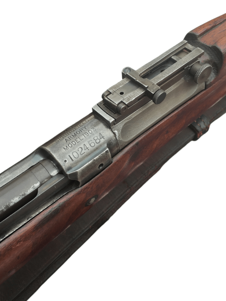 photoroom-20250123_2232186879219281013253866