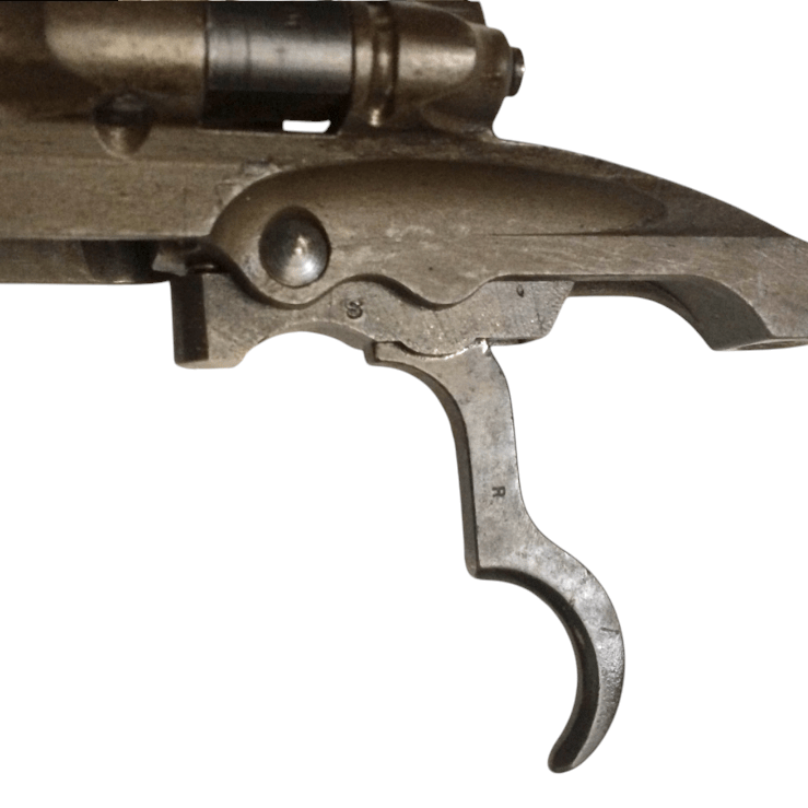 photoroom-20250124_1844215272863360012421651