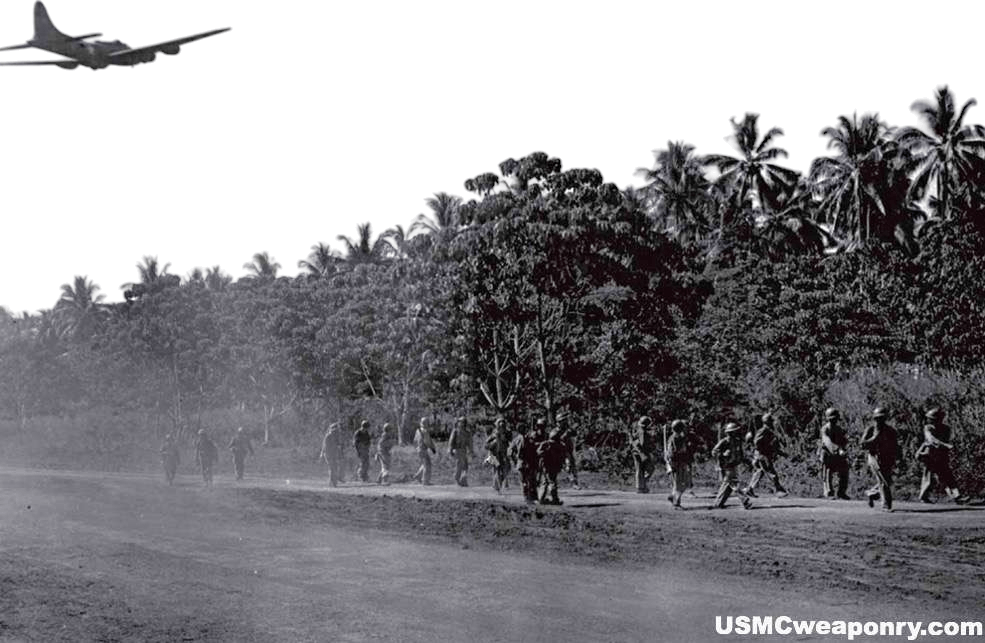 photoroom-20250124_2049394346806492893230615