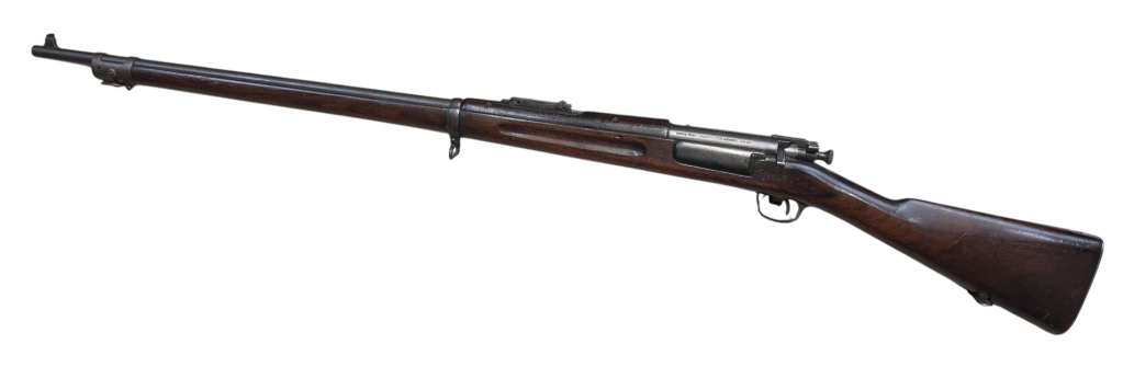 photoroom-20250128_1318591916440387504460408