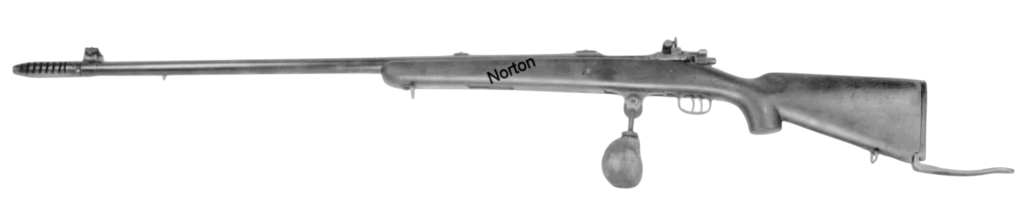 photoroom-20250128_2051552583055365148730325