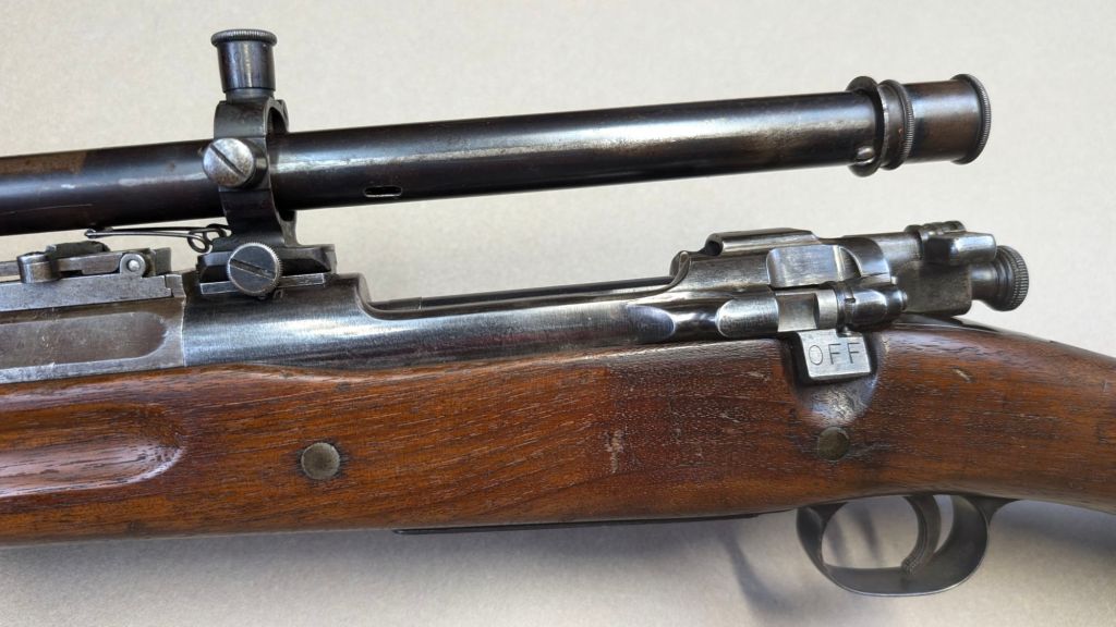 pxl_20241217_031450306384152172661055354