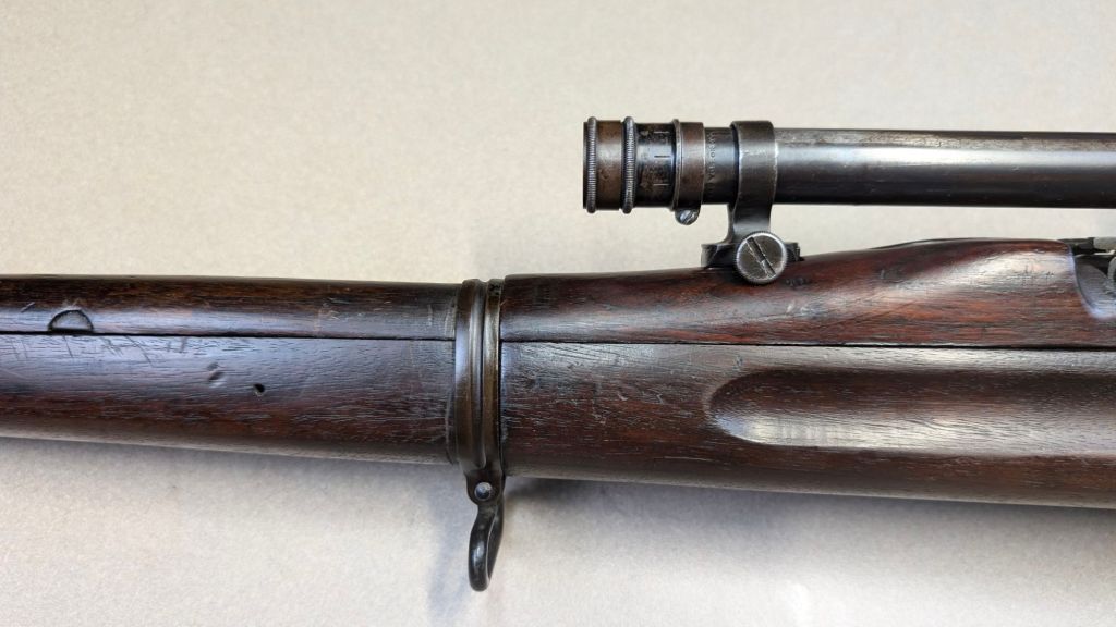 pxl_20241217_032854161296594984972060228