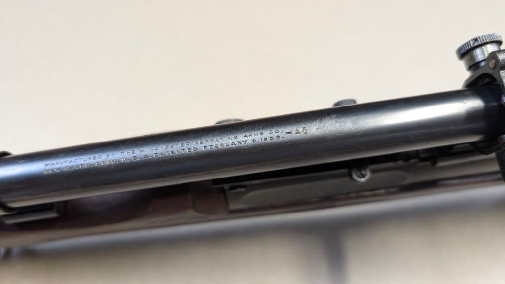 pxl_20241219_2222007092957529242350865279