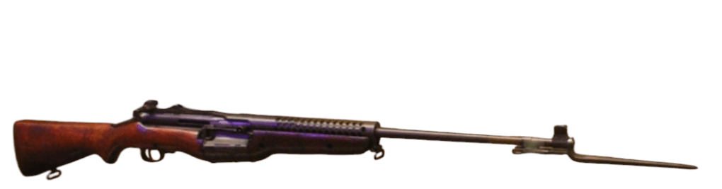 photoroom-20250206_1454512636195784842180890