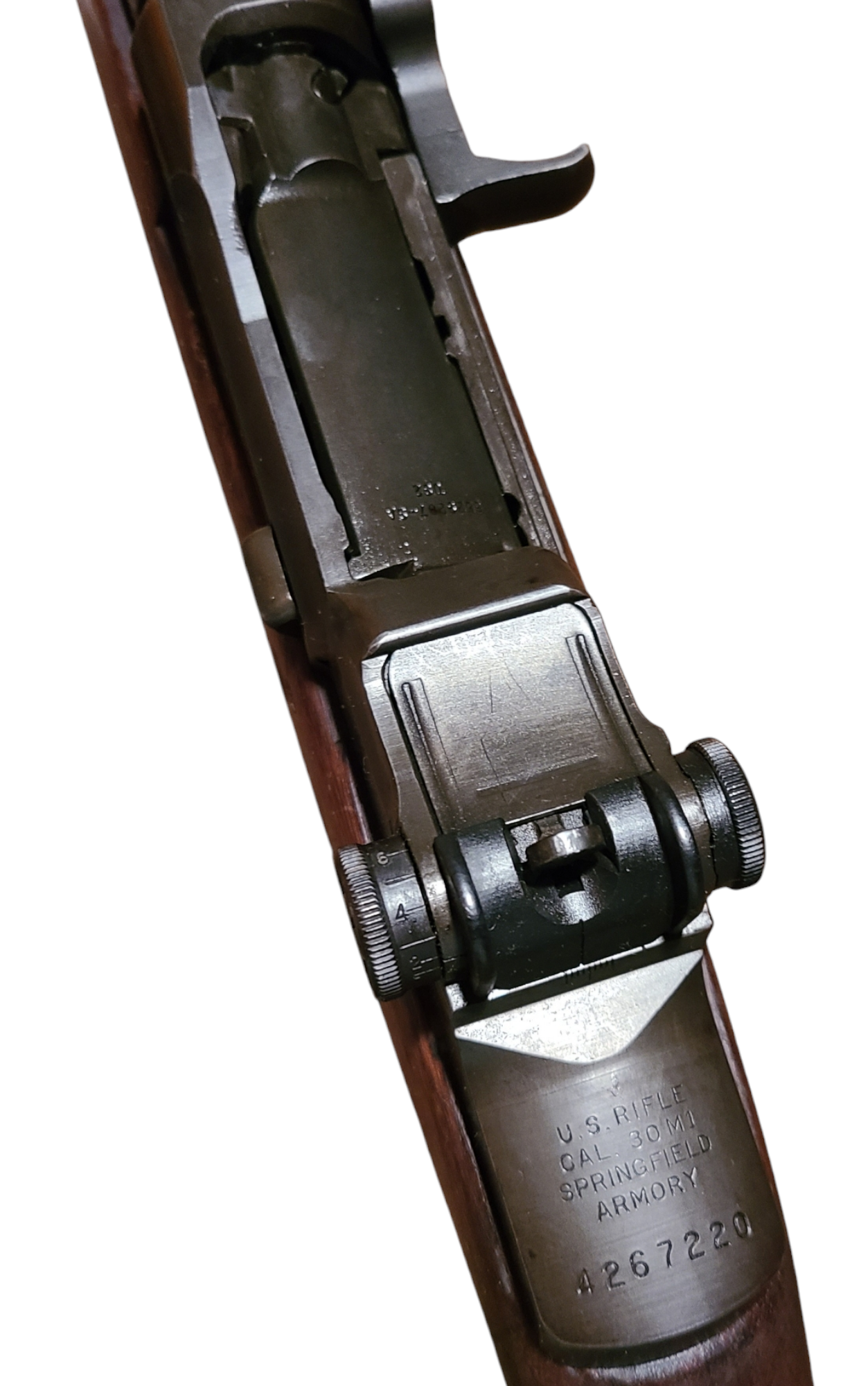 photoroom-20250213_15032774093462821081803