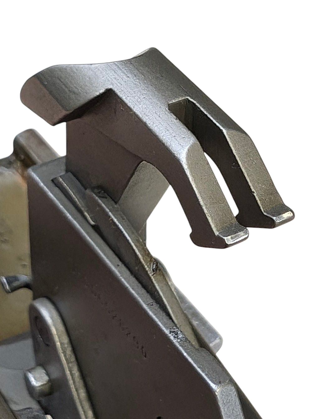 photoroom-20250217_2102283520348378971269354