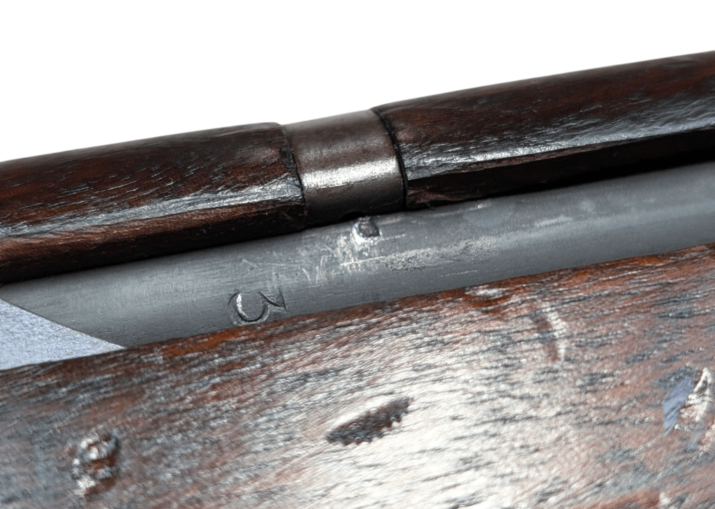 photoroom-20250217_2105066039165733198533710