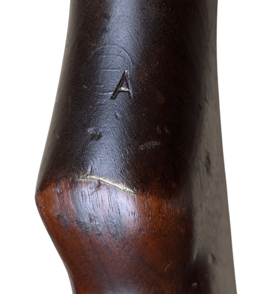 photoroom-20250217_2211001533396279339677980