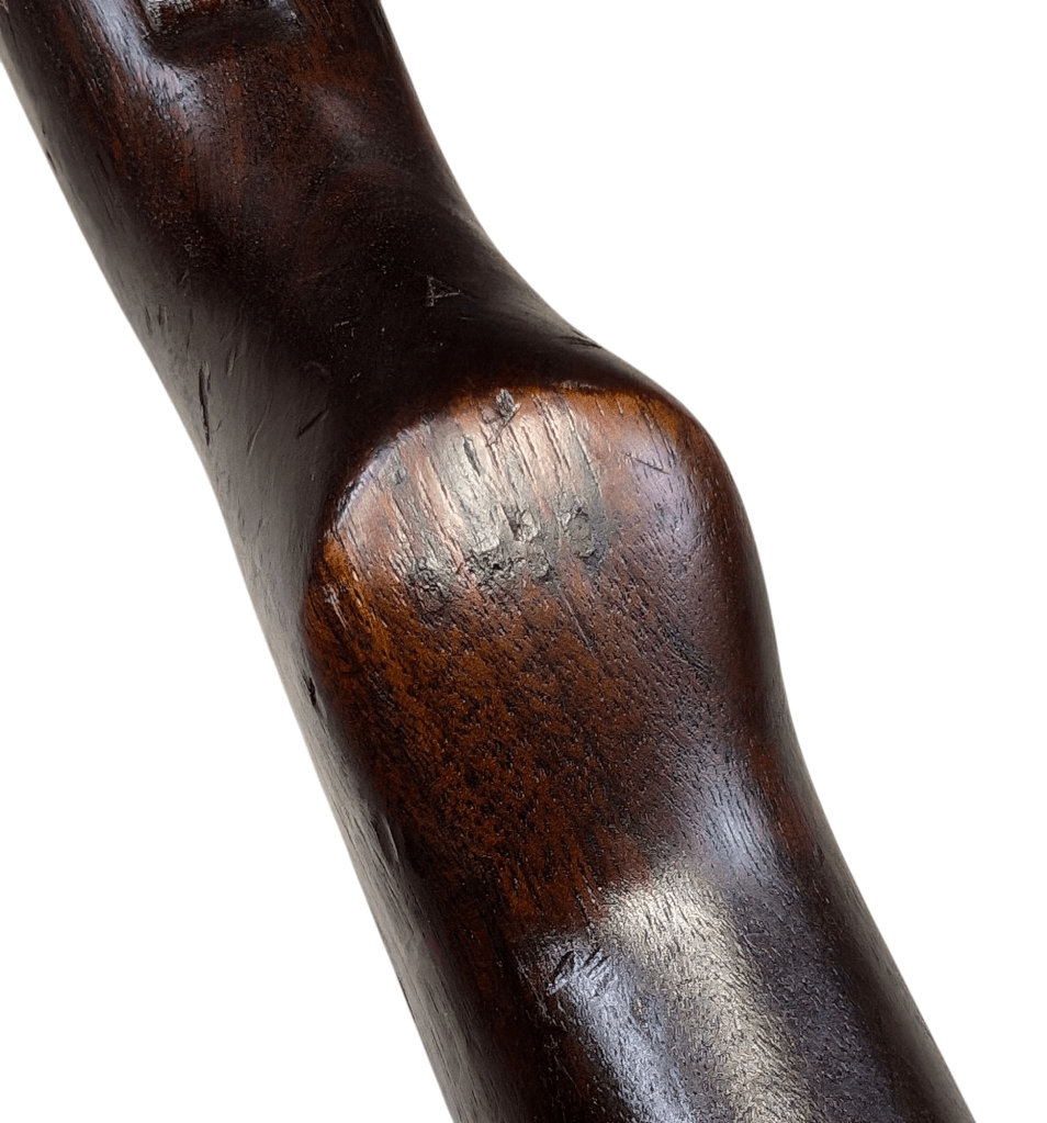 photoroom-20250217_2217484005245843012458040