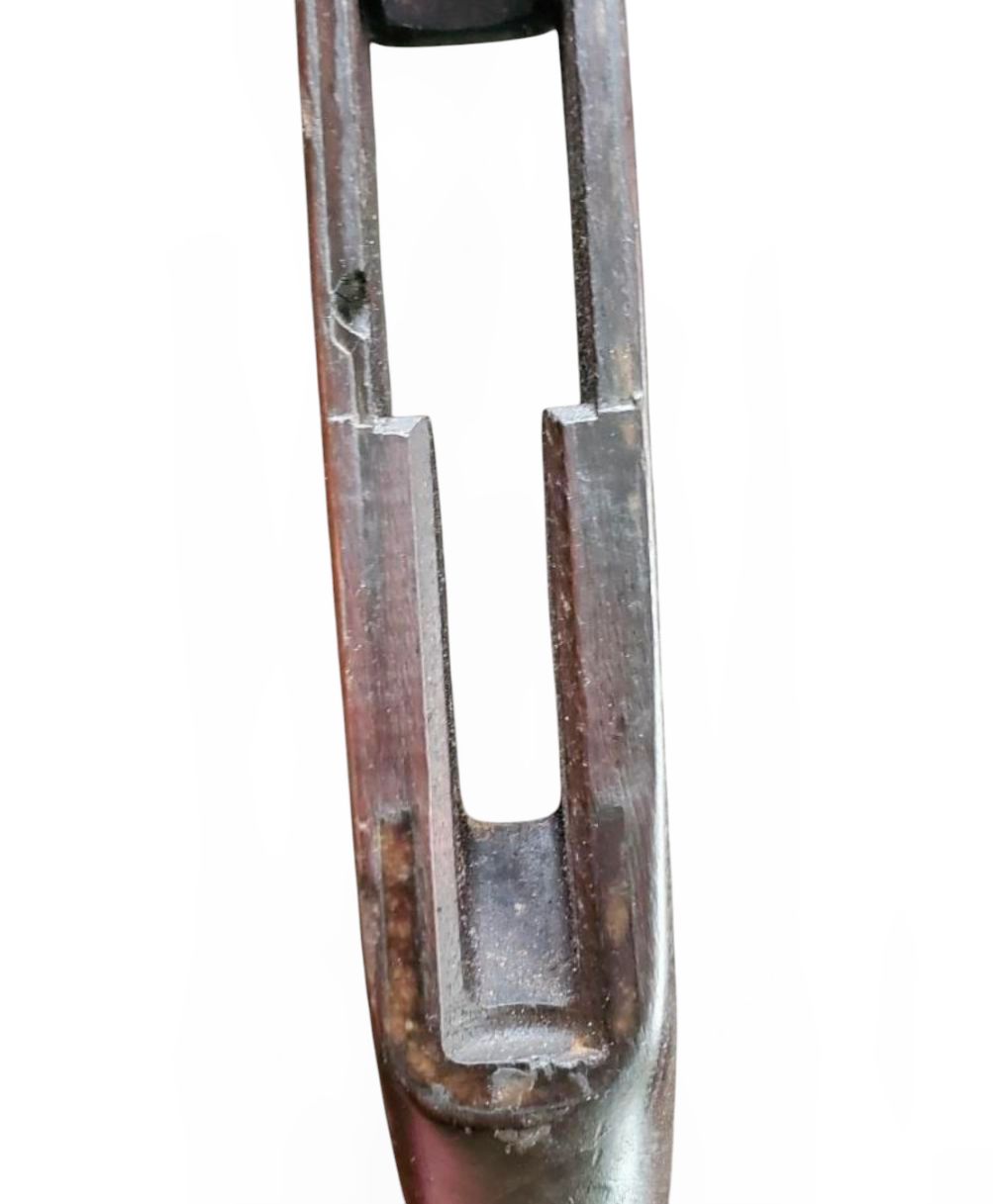 photoroom-20250219_142513~27330867411229850047.