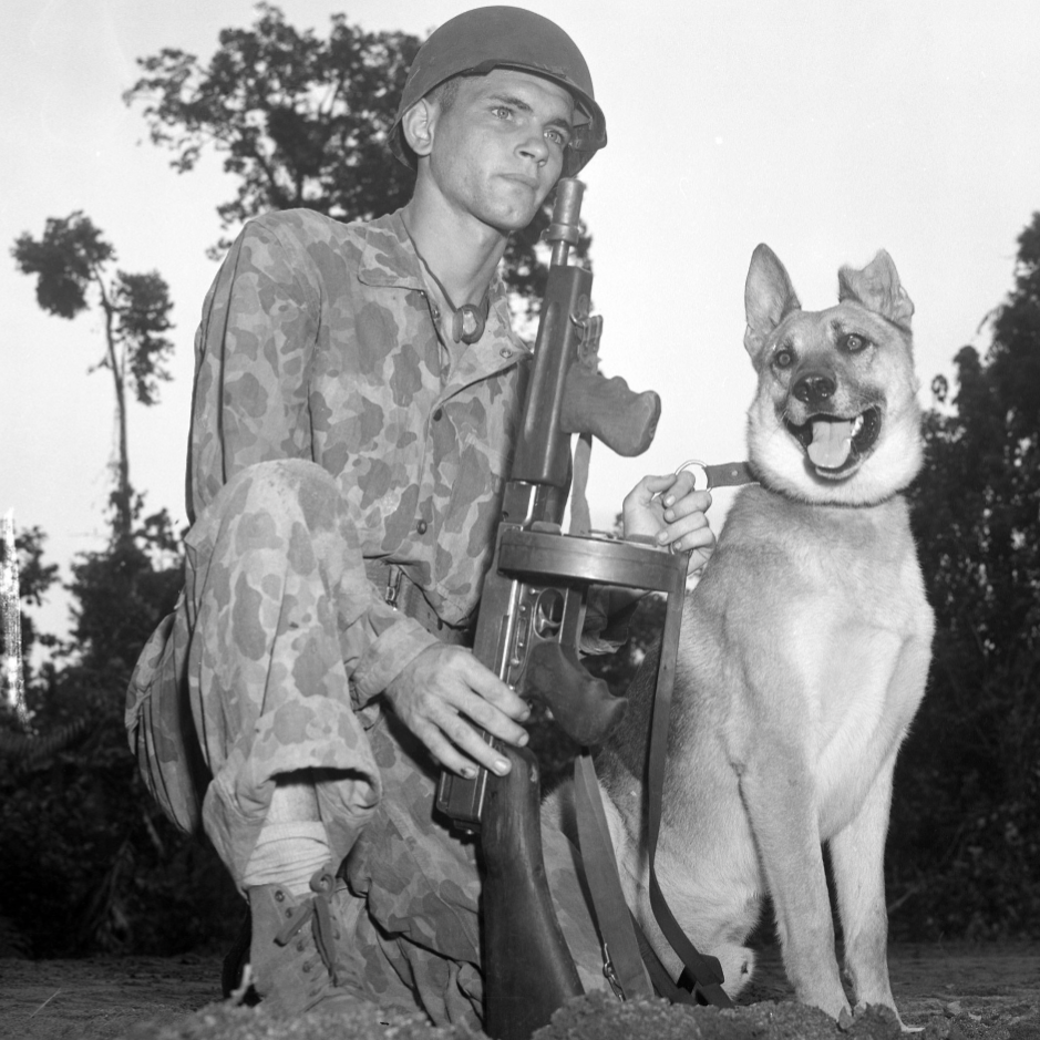 screenshot_20260201-2211082139753952597111993